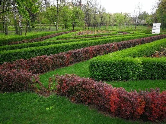Craiova Botanical Garden