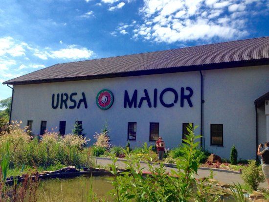 Ursa Maior Concept Craft Brewery