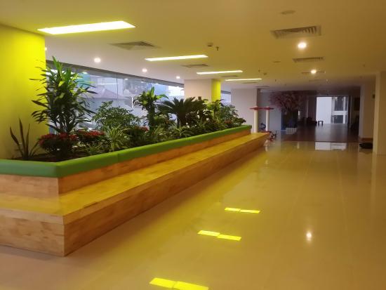 Amazon World