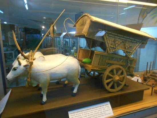 Museum Anak Kolong Tangga