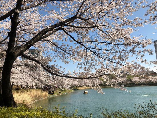 Lac de Seokchon